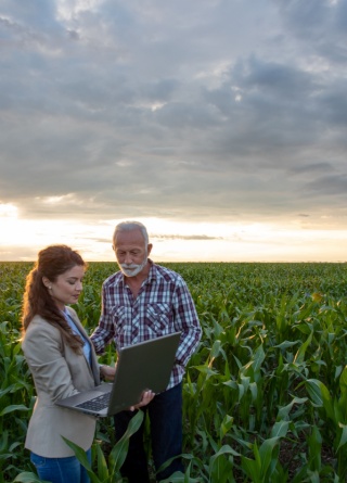 Farmer and professional woman stand in crop field looking at a laptop computer at sunset. 