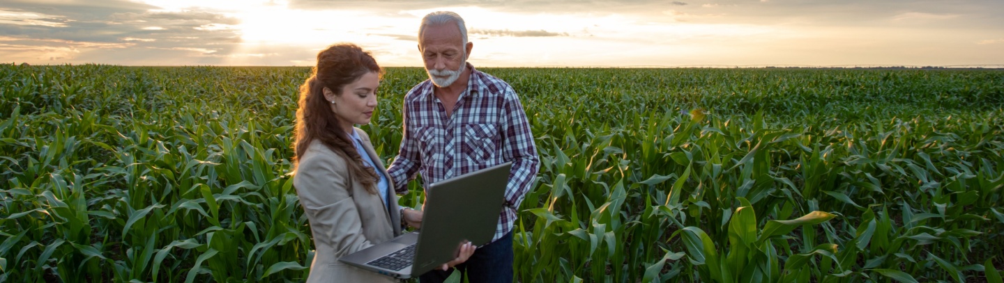 Farmer and professional woman stand in crop field looking at a laptop computer at sunset. 