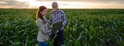 Farmer and professional woman stand in crop field looking at a laptop computer at sunset. 